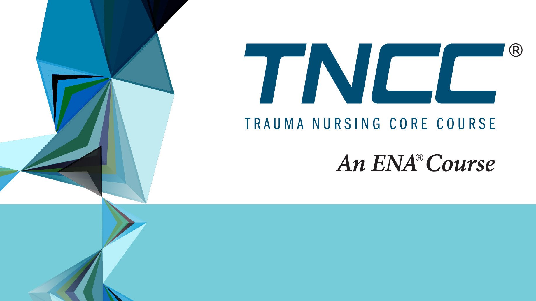 441x248_TNCC_0